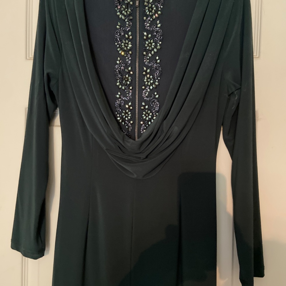 Adrianna Papell gown - Picture 3 of 4